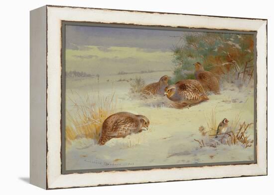 Partridge and a Goldfinch in a Winter landscape watercolor-Archibald Thorburn-Framed Premier Image Canvas