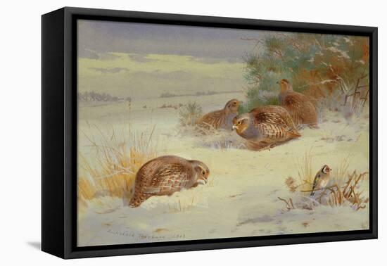 Partridge and a Goldfinch in a Winter landscape watercolor-Archibald Thorburn-Framed Premier Image Canvas