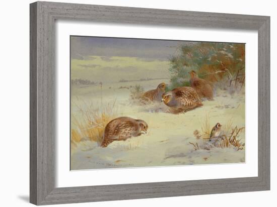 Partridge and a Goldfinch in a Winter landscape watercolor-Archibald Thorburn-Framed Giclee Print