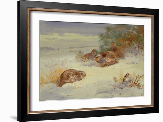 Partridge and a Goldfinch in a Winter landscape watercolor-Archibald Thorburn-Framed Giclee Print