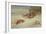 Partridge and a Goldfinch in a Winter landscape watercolor-Archibald Thorburn-Framed Giclee Print