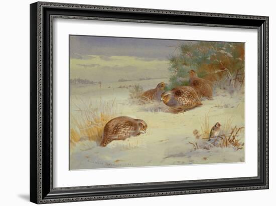 Partridge and a Goldfinch in a Winter landscape watercolor-Archibald Thorburn-Framed Giclee Print