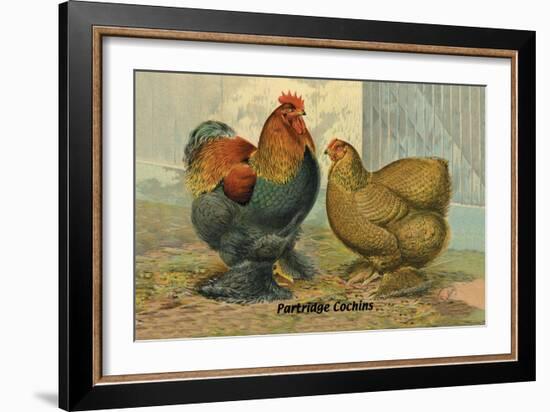 Partridge Cochins-null-Framed Art Print