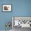 Partridge Pekin Bantam with Ginger-And-White Kitten-Mark Taylor-Framed Photographic Print displayed on a wall