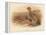 Partridge (Perdix cinerea), 1900, (1900)-Charles Whymper-Framed Premier Image Canvas