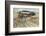 Partridge Shooting - September-Lionel Edwards-Framed Premium Giclee Print