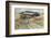 Partridge Shooting - September-Lionel Edwards-Framed Premium Giclee Print