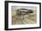 Partridge Shooting - September-Lionel Edwards-Framed Premium Giclee Print