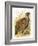 Partridge-English-Framed Giclee Print