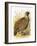 Partridge-English-Framed Giclee Print