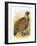 Partridge-English-Framed Giclee Print