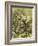 Partridges Austria 1891-null-Framed Giclee Print