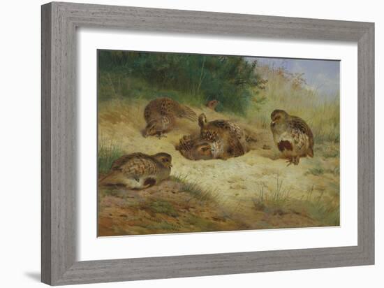 Partridges Basking-Archibald Thorburn-Framed Giclee Print