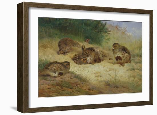 Partridges Basking-Archibald Thorburn-Framed Giclee Print