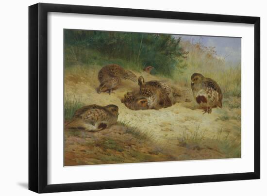 Partridges Basking-Archibald Thorburn-Framed Giclee Print