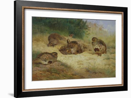 Partridges Basking-Archibald Thorburn-Framed Giclee Print