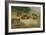 Partridges Basking-Archibald Thorburn-Framed Giclee Print