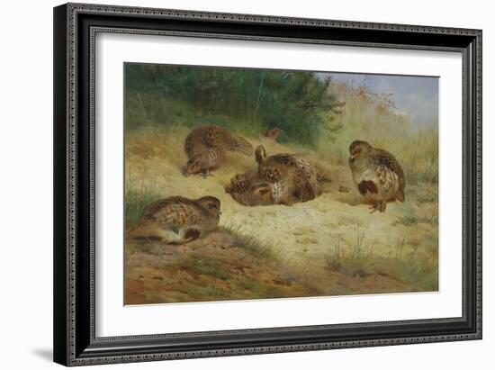 Partridges Basking-Archibald Thorburn-Framed Giclee Print