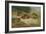 Partridges Basking-Archibald Thorburn-Framed Giclee Print