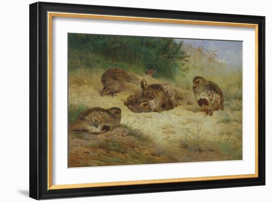 Partridges Basking-Archibald Thorburn-Framed Giclee Print