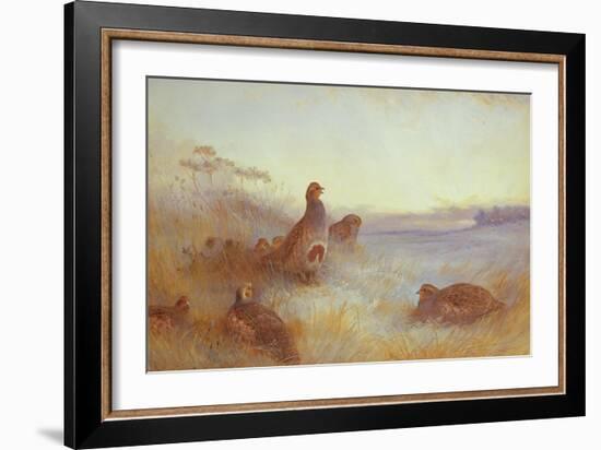 Partridges in Early Morning, 1910-Archibald Thorburn-Framed Giclee Print