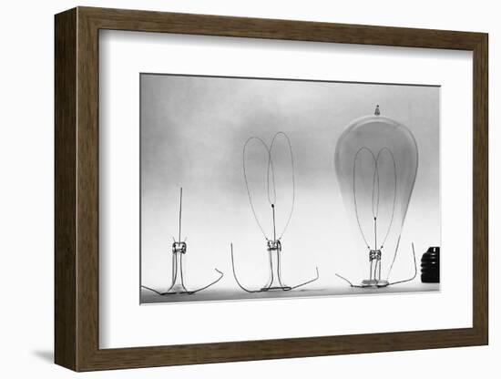 Parts of Incandescent Light Bulb-null-Framed Photographic Print