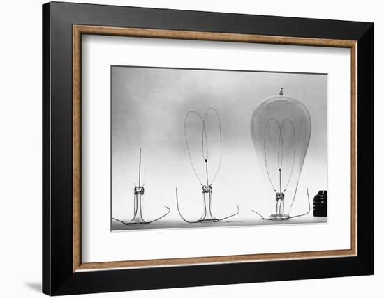 Parts of Incandescent Light Bulb-null-Framed Photographic Print