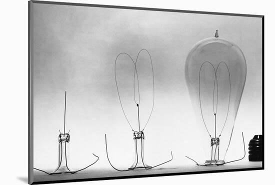 Parts of Incandescent Light Bulb-null-Mounted Photographic Print