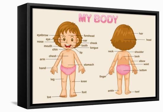 Parts of the Body-interactimages-Framed Stretched Canvas