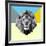 Party Lion-Lisa Kroll-Framed Art Print