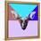 Party Moose in Glasses-Lisa Kroll-Framed Stretched Canvas