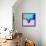 Party Moose in Glasses-Lisa Kroll-Framed Stretched Canvas displayed on a wall