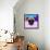 Party Pug in Pink Glasses-Lisa Kroll-Framed Stretched Canvas displayed on a wall