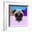 Party Pug in Pink Glasses-Lisa Kroll-Framed Art Print