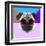 Party Pug in Pink Glasses-Lisa Kroll-Framed Art Print