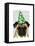 Party Pug-Fab Funky-Framed Stretched Canvas