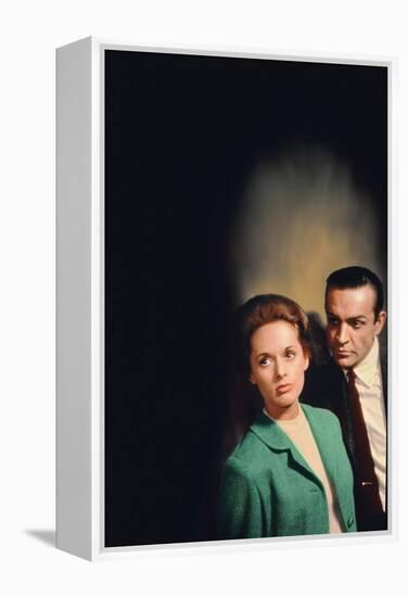 Pas by printemps pour Marnie MARNIE by AlfredHitchcock with Sean Connery and Tippi Hedren en, 1964 -null-Framed Stretched Canvas