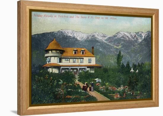 Pasadena, California - Picking Flowers Near Mount Wilson-Lantern Press-Framed Stretched Canvas