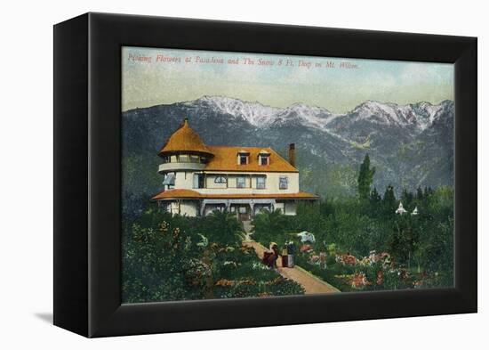 Pasadena, California - Picking Flowers Near Mount Wilson-Lantern Press-Framed Stretched Canvas