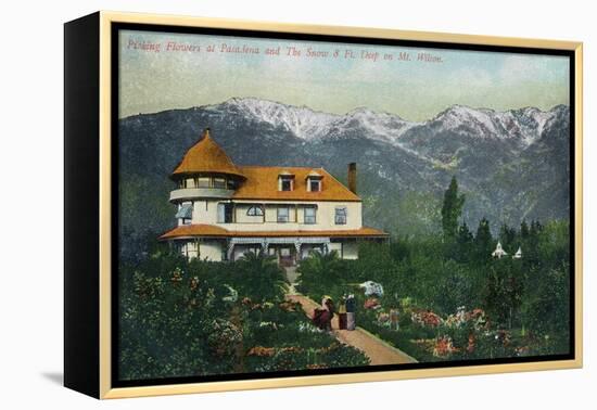 Pasadena, California - Picking Flowers Near Mount Wilson-Lantern Press-Framed Stretched Canvas