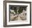 Paseo Del Prado, Havana' Steet of the Meadow-William Henry Jackson-Framed Photo