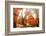 Pashupati Temple tombs, Kathmandu, Nepal, Asia-Laura Grier-Framed Photographic Print