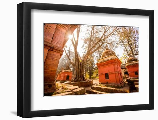 Pashupati Temple tombs, Kathmandu, Nepal, Asia-Laura Grier-Framed Photographic Print