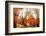 Pashupati Temple tombs, Kathmandu, Nepal, Asia-Laura Grier-Framed Photographic Print