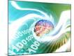 Premium Photographic Print