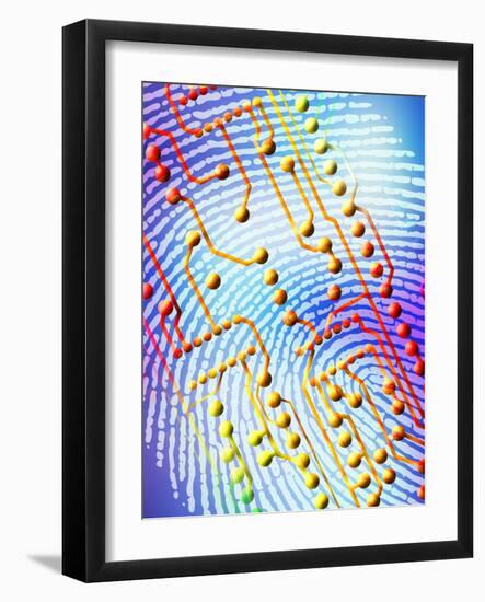 Photographic Print, , large
