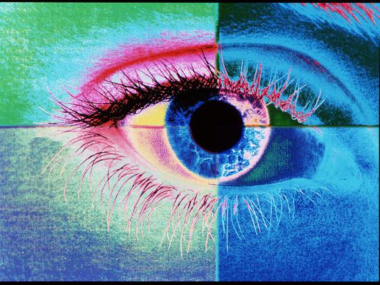 Photographic Print, , large
