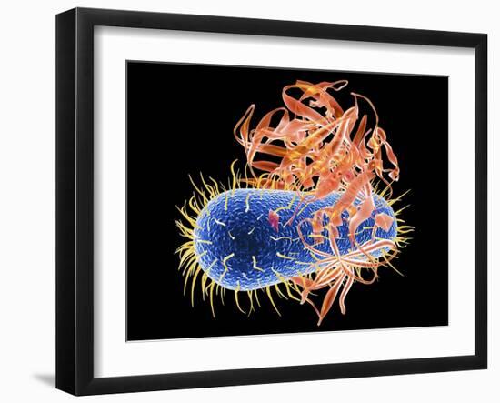 Photographic Print, , large