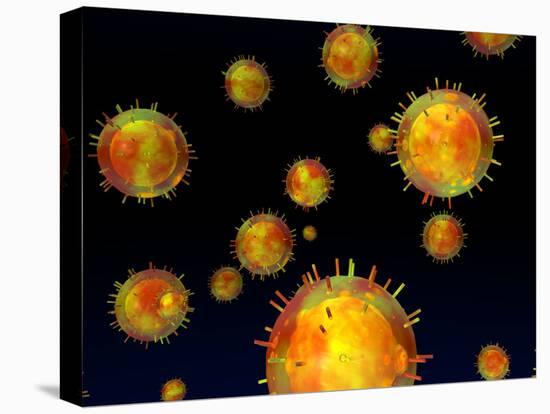 Stretched Canvas Print, , large