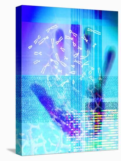 Stretched Canvas Print, , large